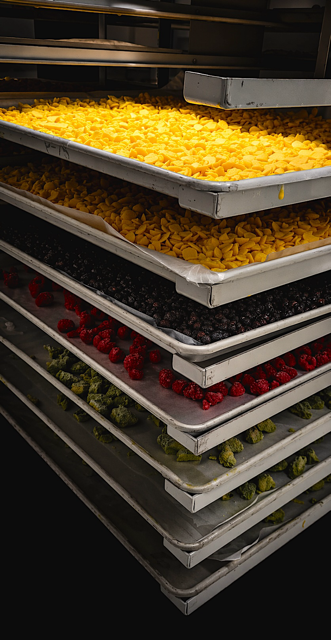 Partner with SíoSí